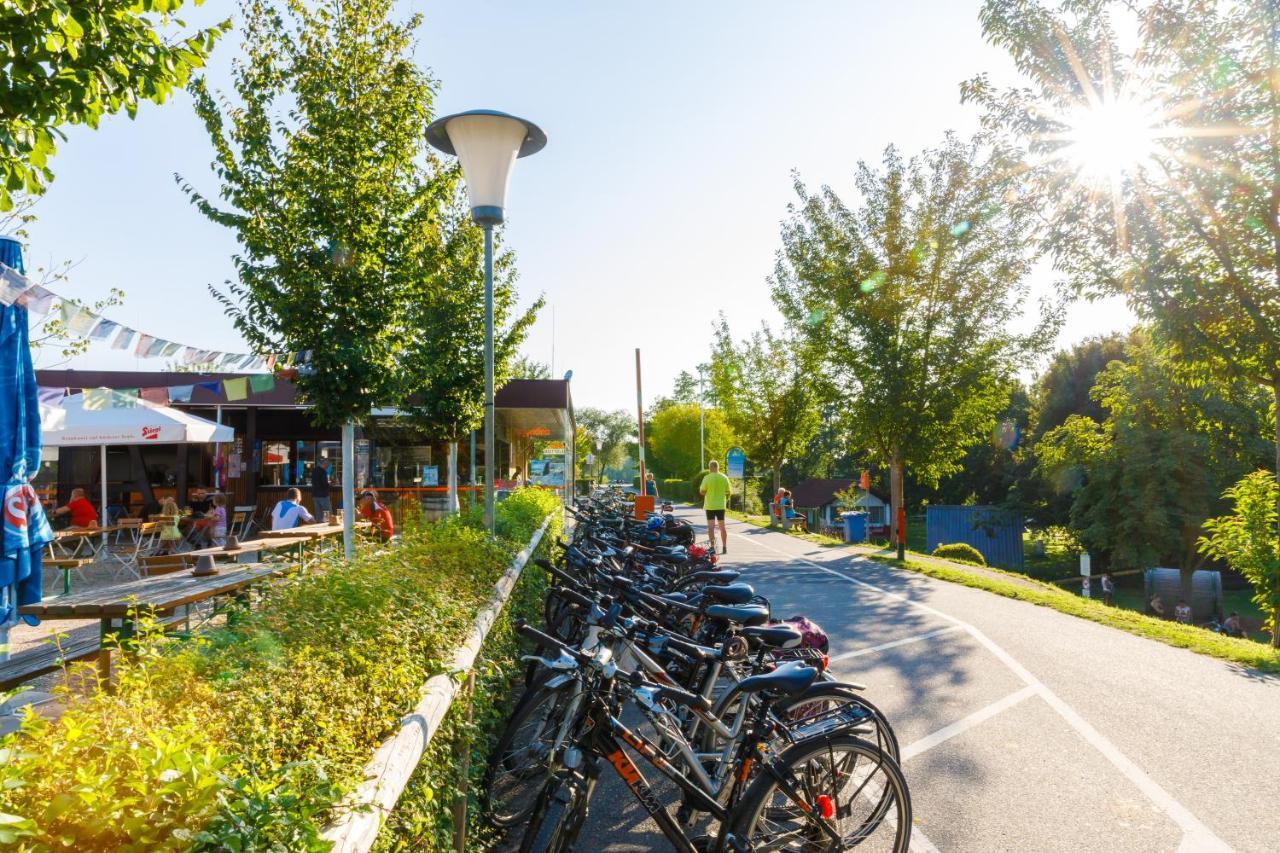 Camping & Pension Au An Der Donau Εξωτερικό φωτογραφία