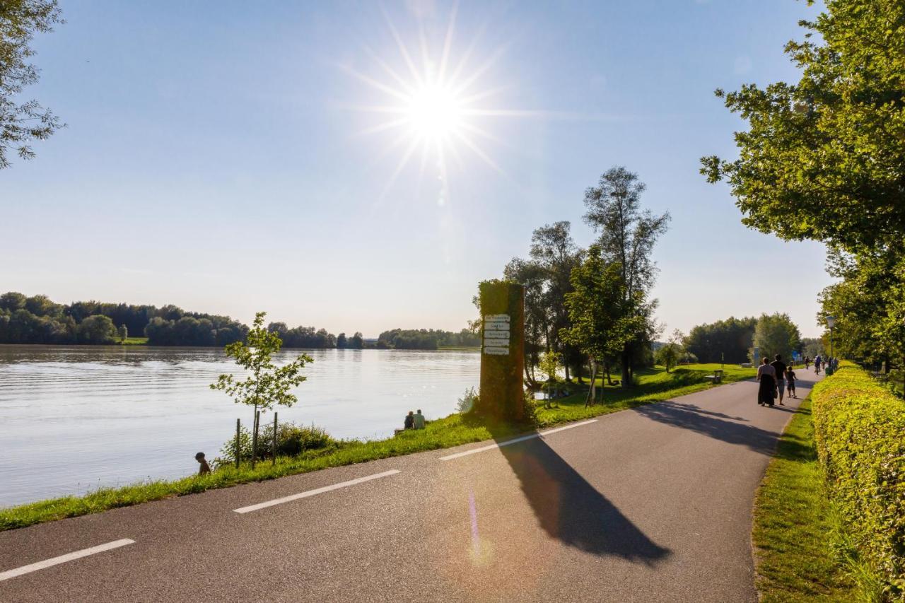 Camping & Pension Au An Der Donau Εξωτερικό φωτογραφία