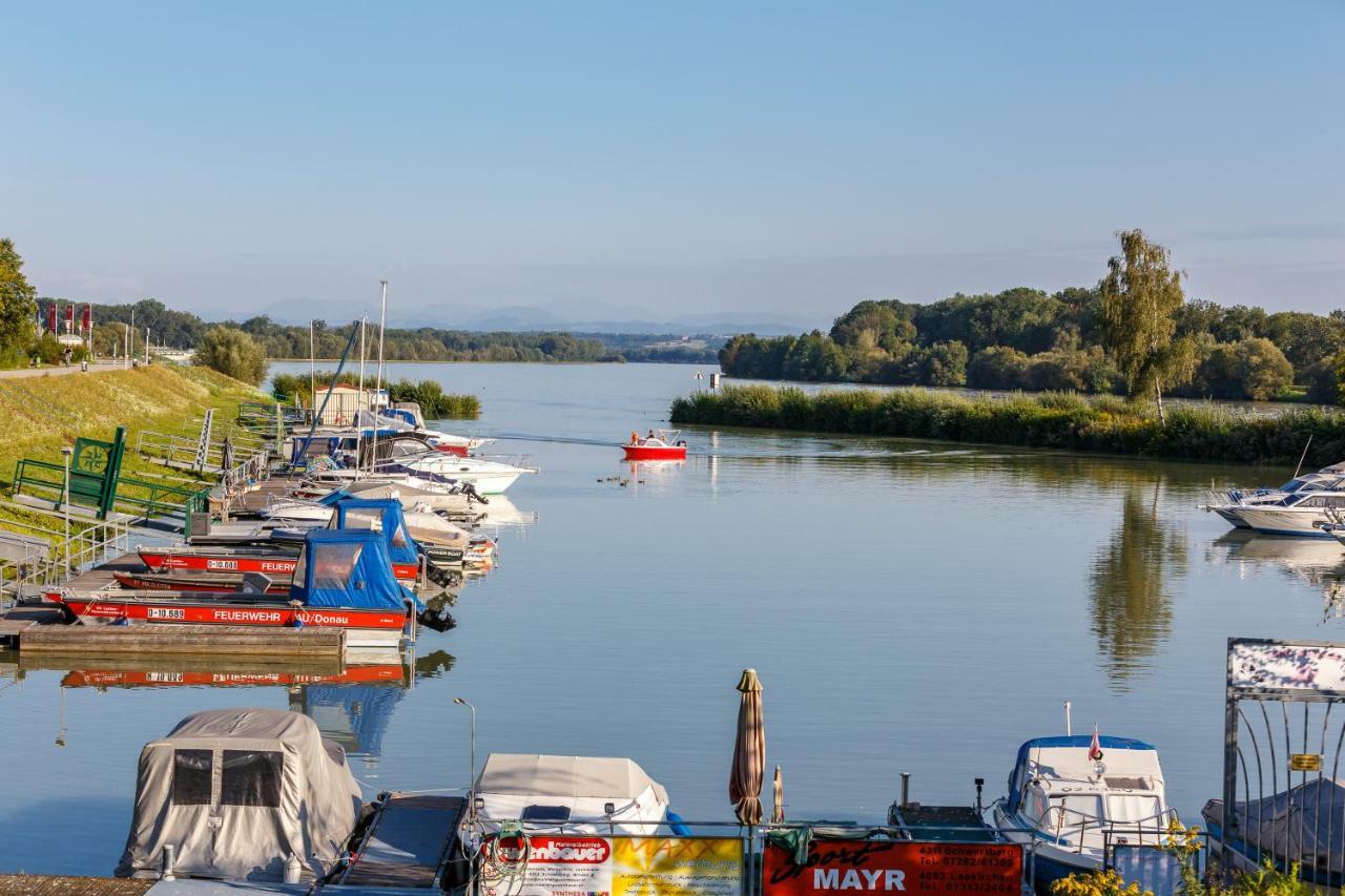 Camping & Pension Au An Der Donau Εξωτερικό φωτογραφία