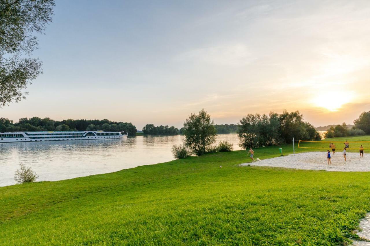 Camping & Pension Au An Der Donau Εξωτερικό φωτογραφία