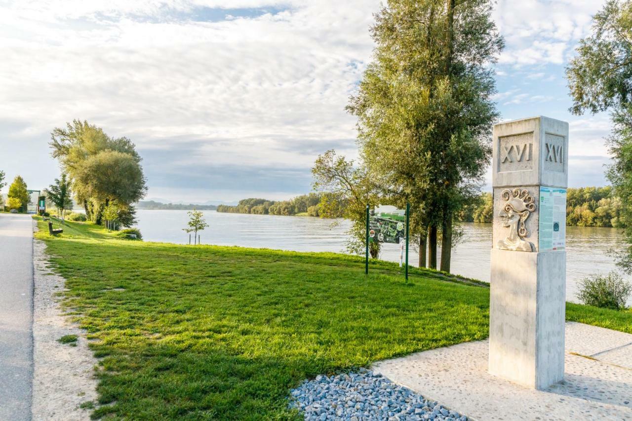Camping & Pension Au An Der Donau Εξωτερικό φωτογραφία