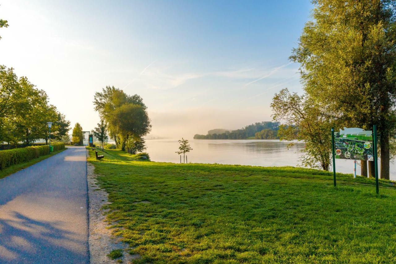 Camping & Pension Au An Der Donau Εξωτερικό φωτογραφία